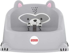 Fisher Price Hungry Raccoon